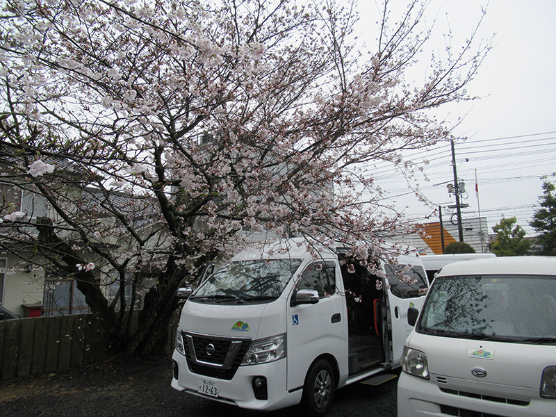 お花見ドライブ吉野山公園1 - ケアハウス福山