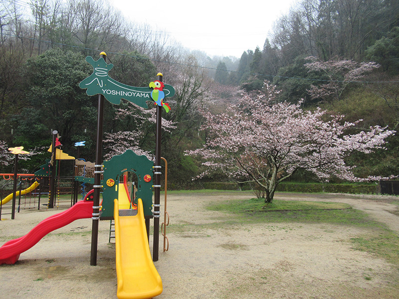 お花見ドライブ吉野山公園2 - ケアハウス福山